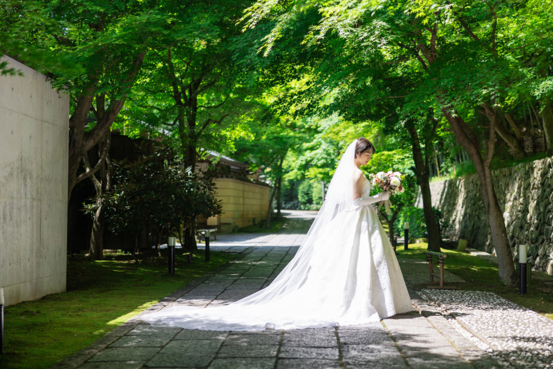 春の新緑から、夏にかけて
