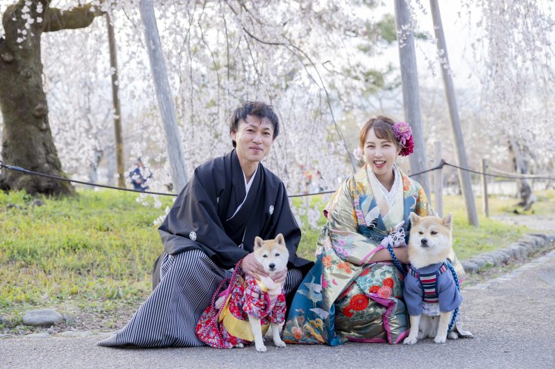 四季が紡ぐ、京都の物語をペットと共に。