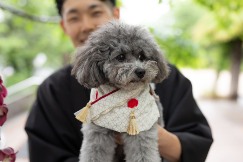 撮影を彩るかわいいお衣装