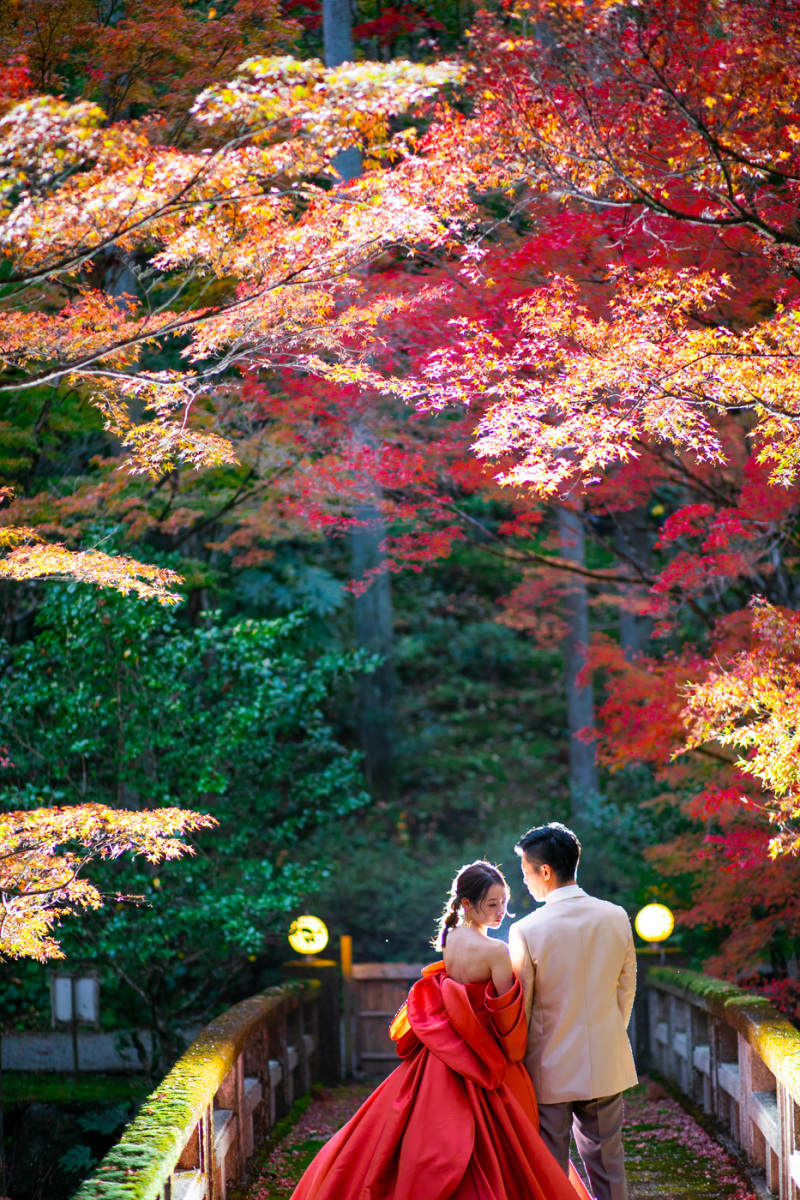 秋には真っ赤な紅葉が見頃