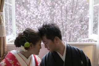 ハナミズキや桜が満開の頃の和洋フォト　〈白ドレス＆色打掛結婚式前撮りロケ〉