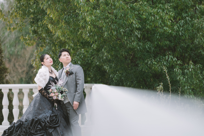 冬でも緑いっぱい