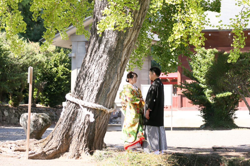 ご神木の下で