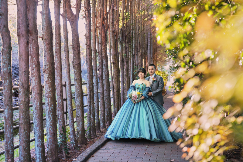 木々が並ぶ小道