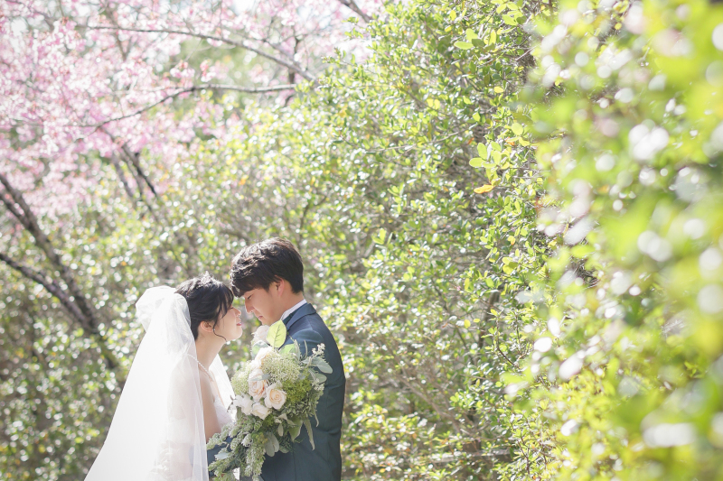 春ロケーション