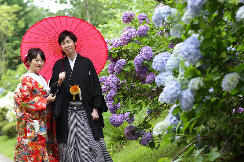 紫陽花に囲まれて