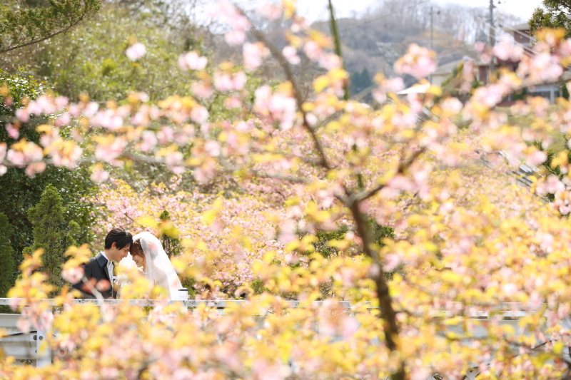 桜と新緑の合間に