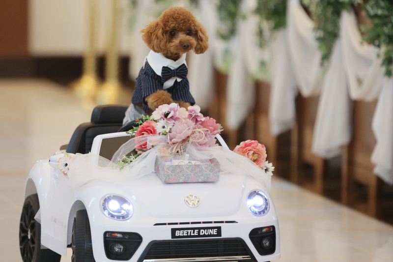 挙式を行う場合は“リングドッグ”の演出を