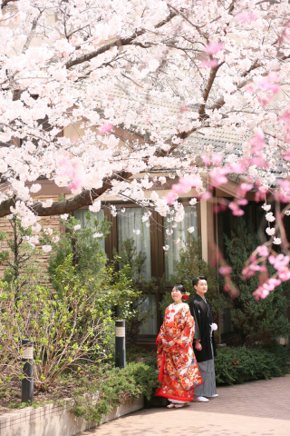 仙台ゆりが丘マリアージュアンヴィラ_【春フォト】桜や新緑の中で
