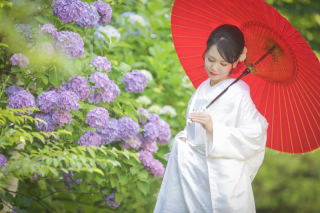 仙台ゆりが丘マリアージュアンヴィラ_【夏フォト】紫陽花や鮮やかな緑の中で