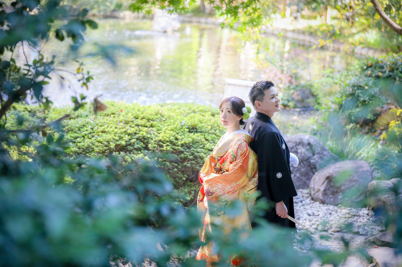 陽光をまとった池に舞う鯉たち