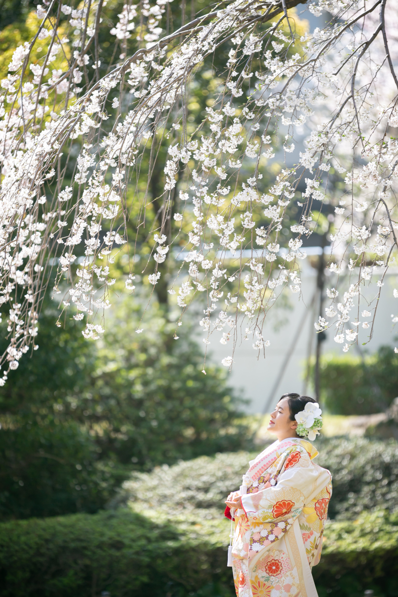 オンライン相談も可能