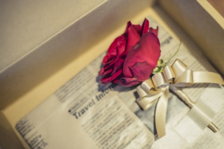 グランドプリンスホテル高輪 フォトスタジオ_アイテム★ショット