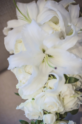 グランドプリンスホテル高輪 フォトスタジオ_アイテム★ショット