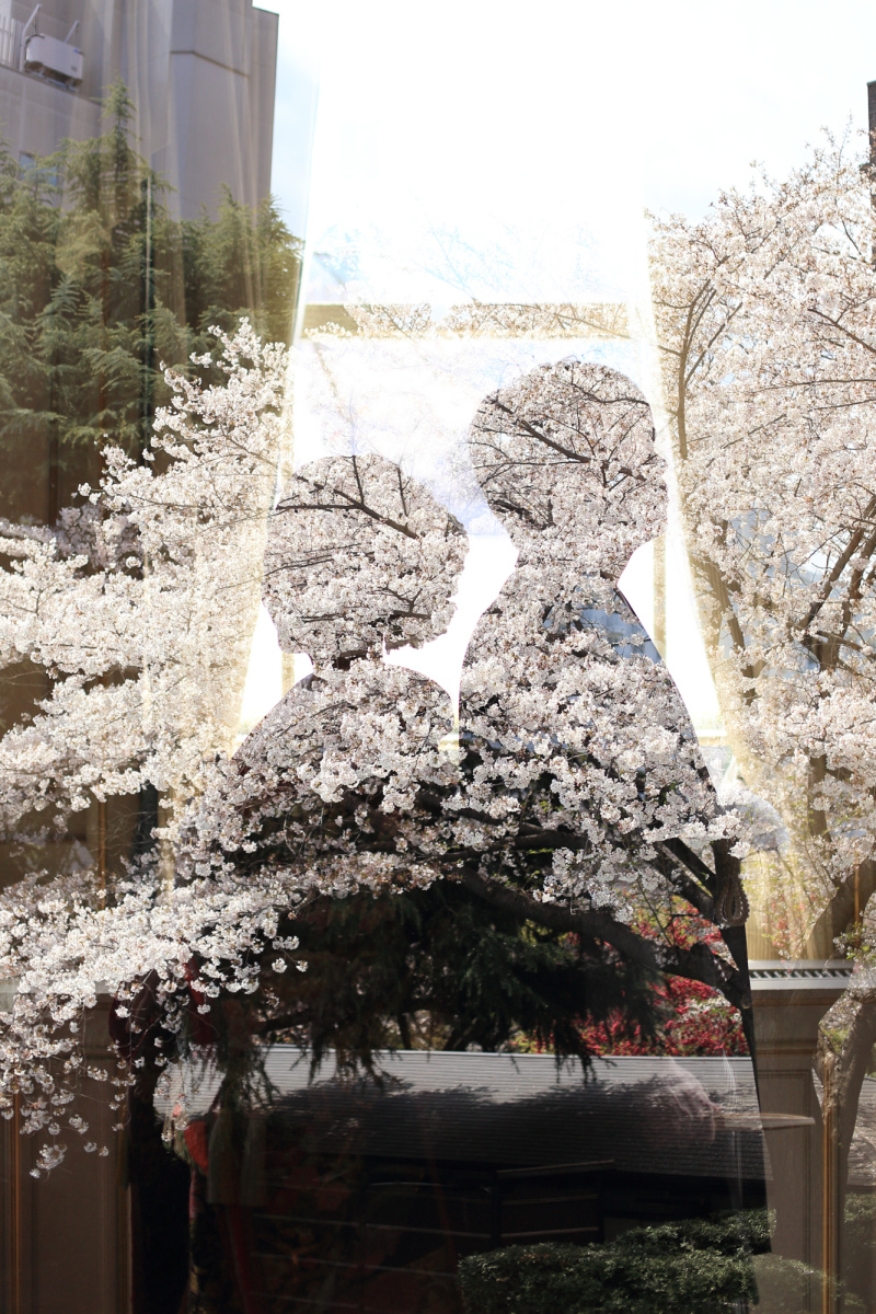 季節ならではのショットのひとつ。