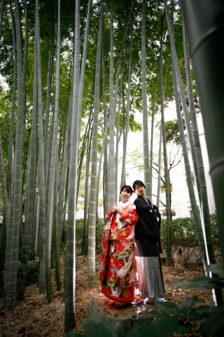 竹林で幻想的なシーン。
