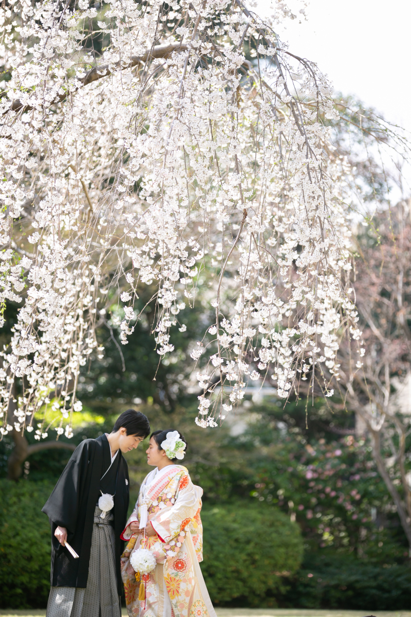 〖大人気桜シーズン◇3月のご予約開始〗満開の庭園で和装ロケ≪衣装にこだわりのある方へ！来店時衣装試着付き≫