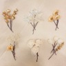 ヘッドアクセサリー（ドライフラワー）