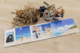 【アルバム】単品 シャンス