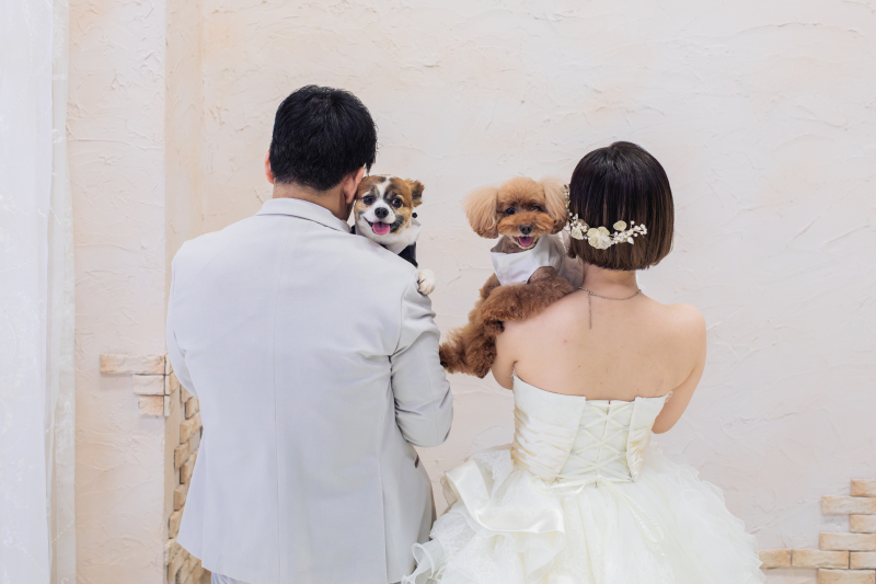 7月限定特別価格￥49,500！スタジオフォト50カットでこの価格！