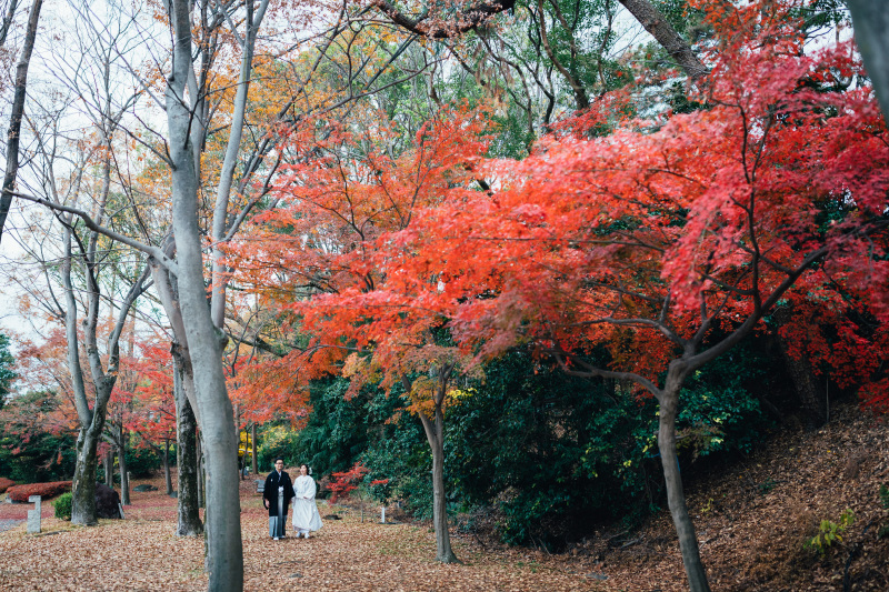 【タガヤブライダル限定!!】世界遺産二条城 洋装1点&和装1点ロケーションフォト