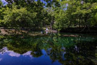 鳥沼公園で神秘的な撮影をしませんか！？