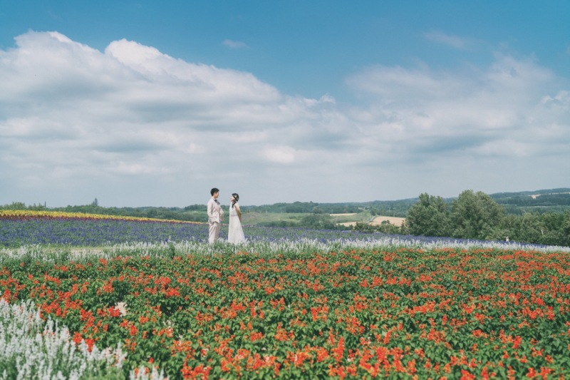 お花畑の撮影は、北海道が間違い無し！