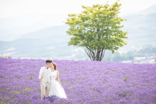 ラベンダー畑で最高のウェディングフォトを