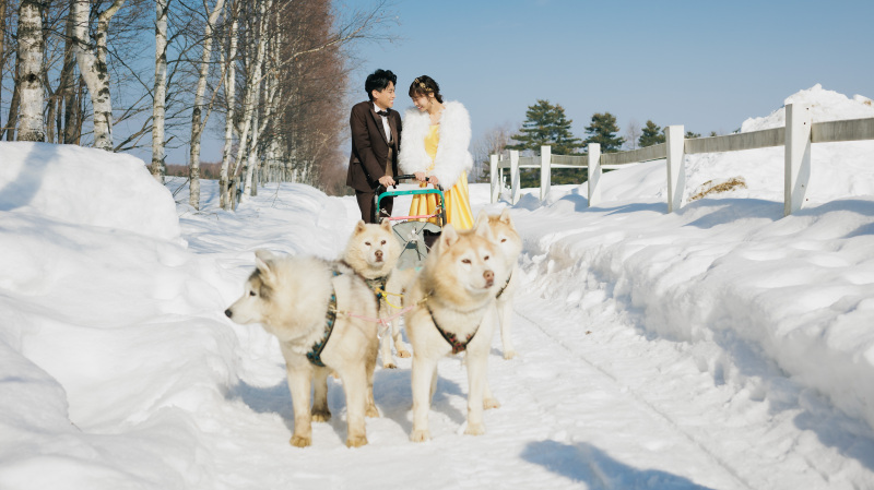 実際には走りませんが犬ぞり風も・・・