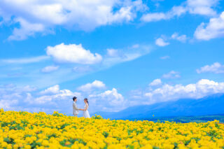 フラワーランドとパッチワークで北海道を満喫♫