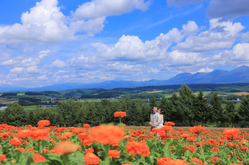 美瑛ロケーションPart6