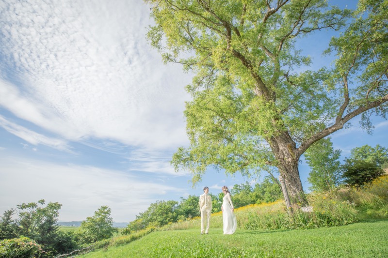 大きな樹の下で