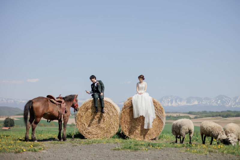 最後はお馬さんも登場して