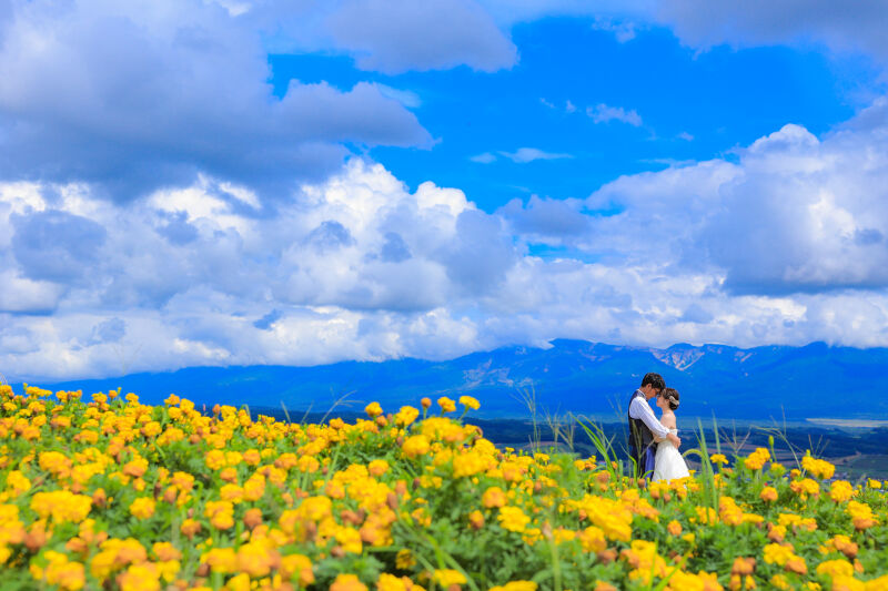 花畑ロケーションPart5