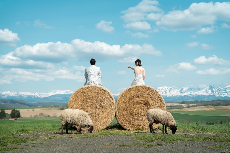 場所を変えて牧場へ