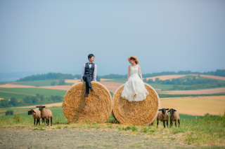 牧場＆お花畑 満喫プラン