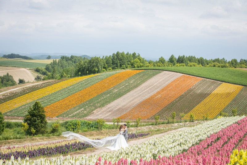 カラフルなお花畑