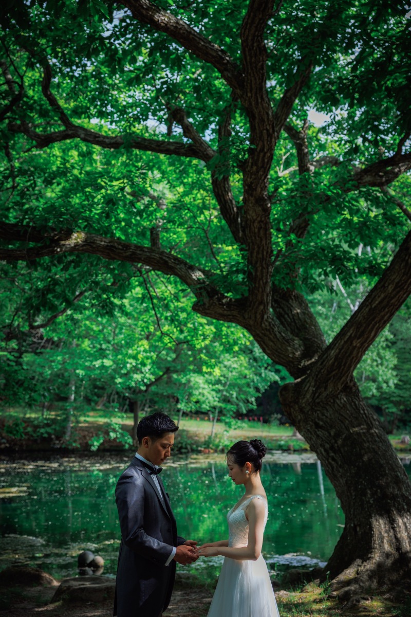 木漏れ日溢れる公園