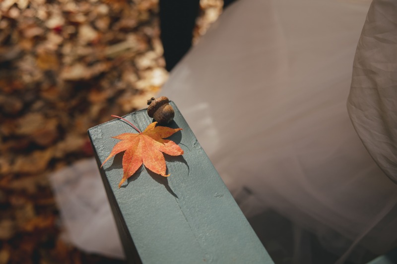 ドングリと紅葉の葉っぱ