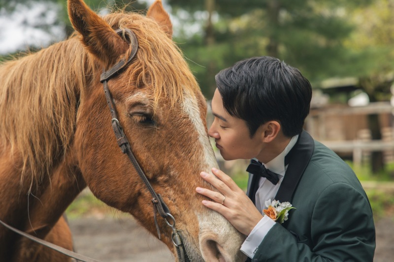 乗馬ロケーション