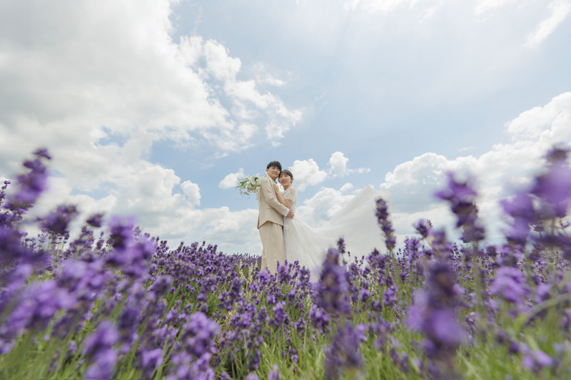 青空とラベンダー