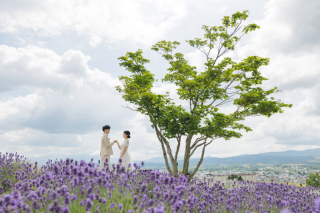 夏の美瑛＆富良野の思い出♪