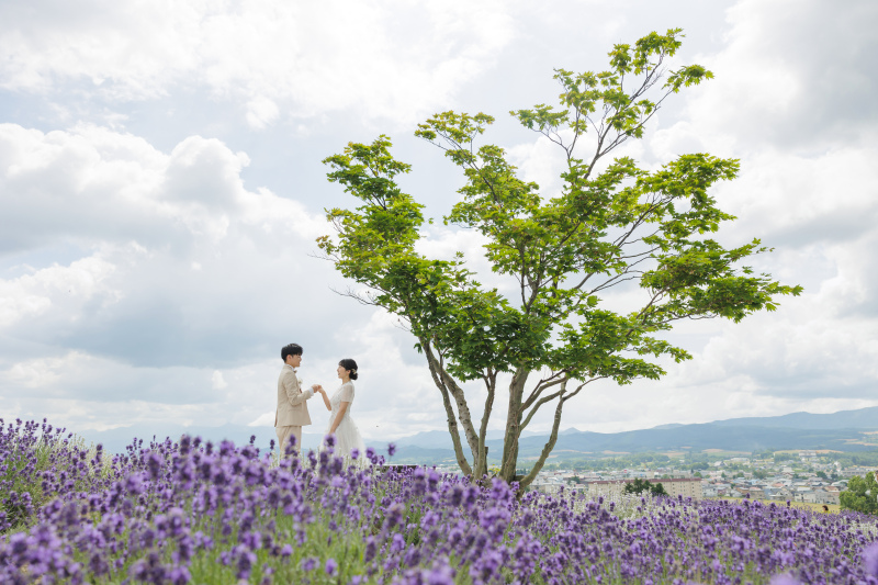 夏の美瑛&富良野の思い出♪