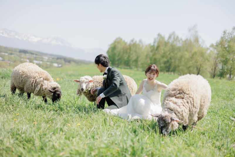 今年も撮影開始！