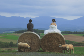 牧場とお花畑で！