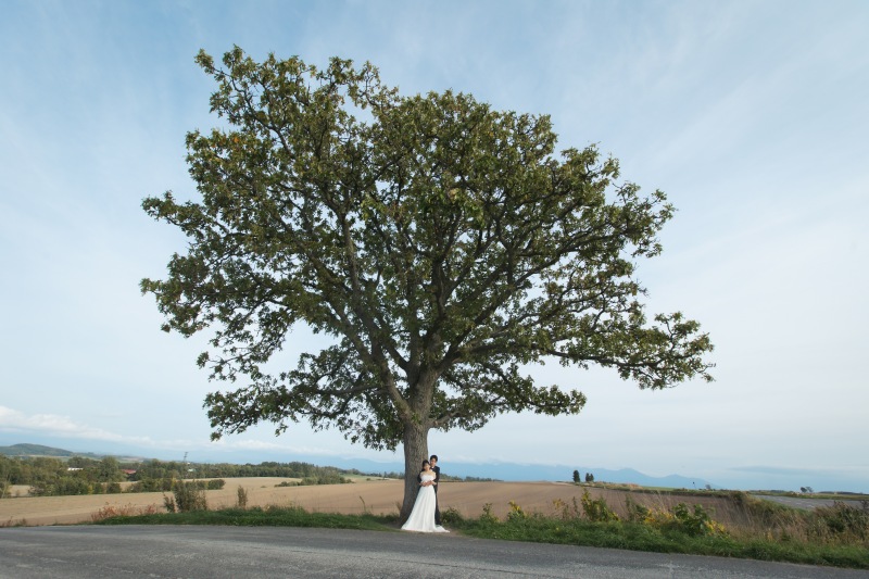 パッチワークの丘