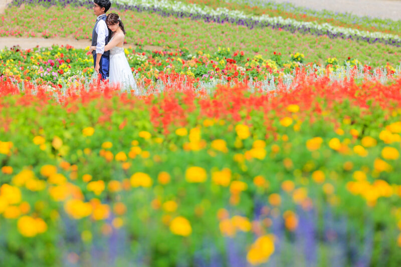 花畑ロケーションPart3