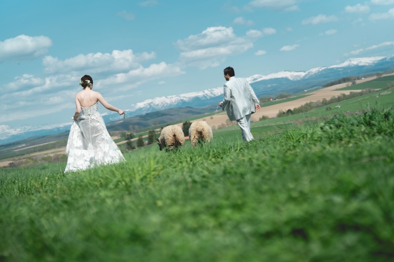 芝生の青と空の青