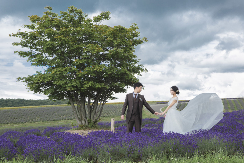 日の出公園ラベンダー