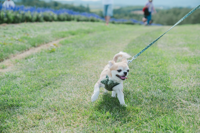 お嫁さんのお友達も！